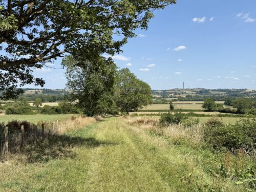 Millennium Way footpath looking towards Priors Hardwick
