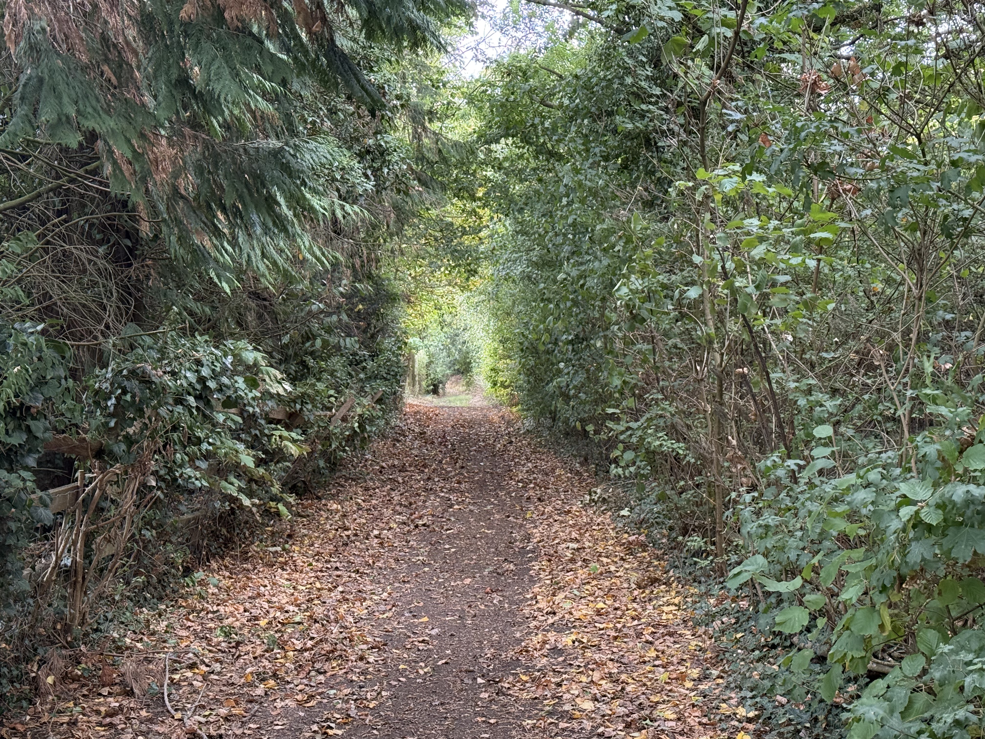 The footpath at St Mary’s Close