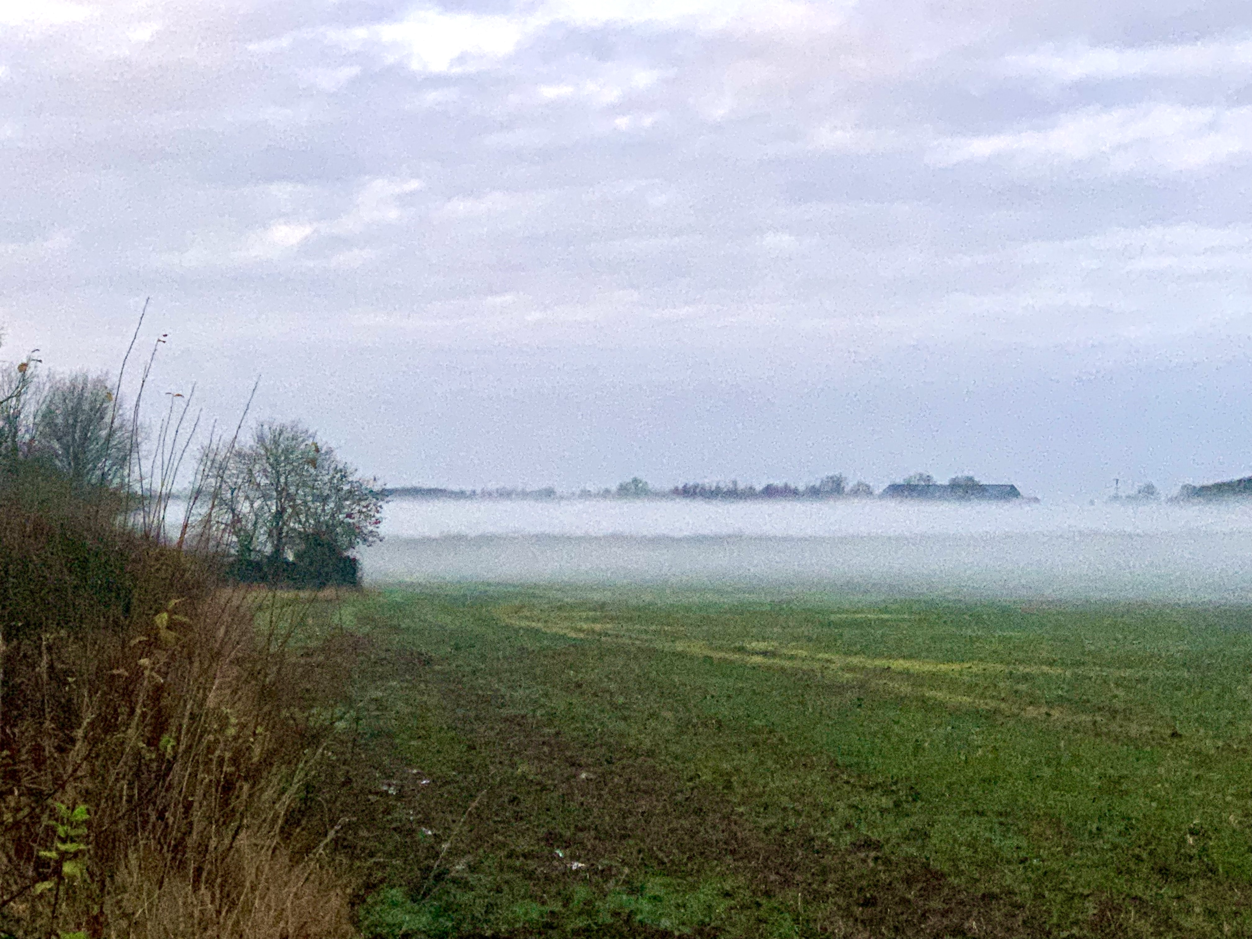 Misty morning at Priors Hardwick