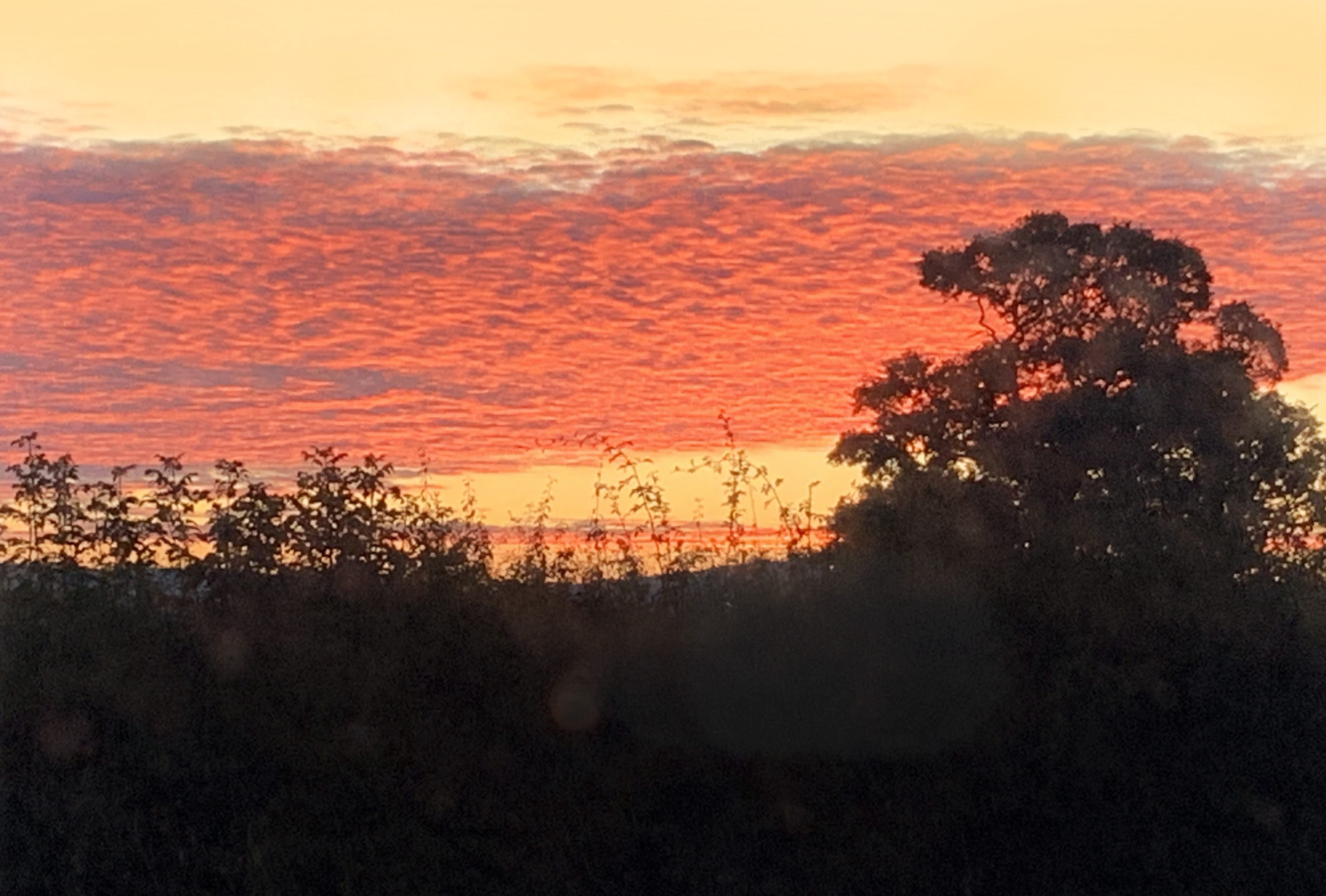 Sunrise over Priors Marston