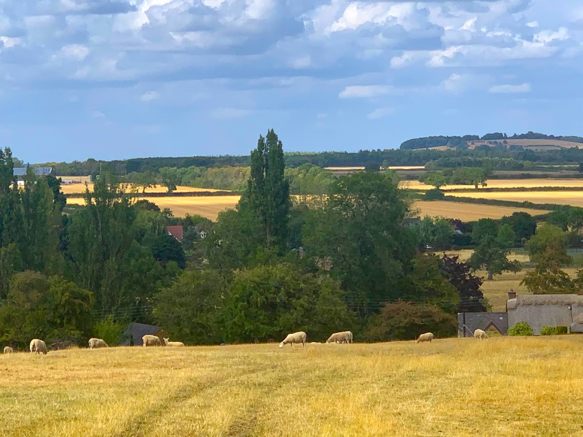 Looking across the fields with Priors Hardwick hidden below