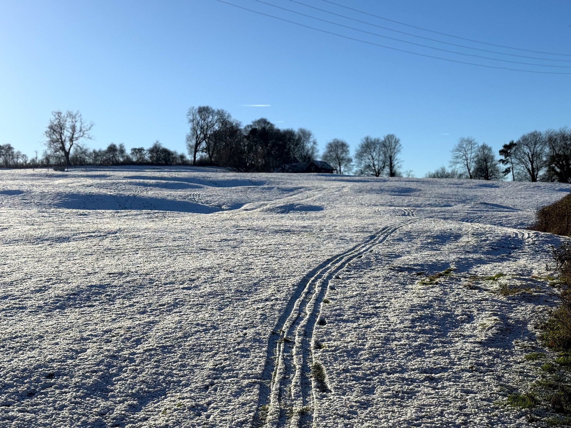 Snowy field off Leisure Drive