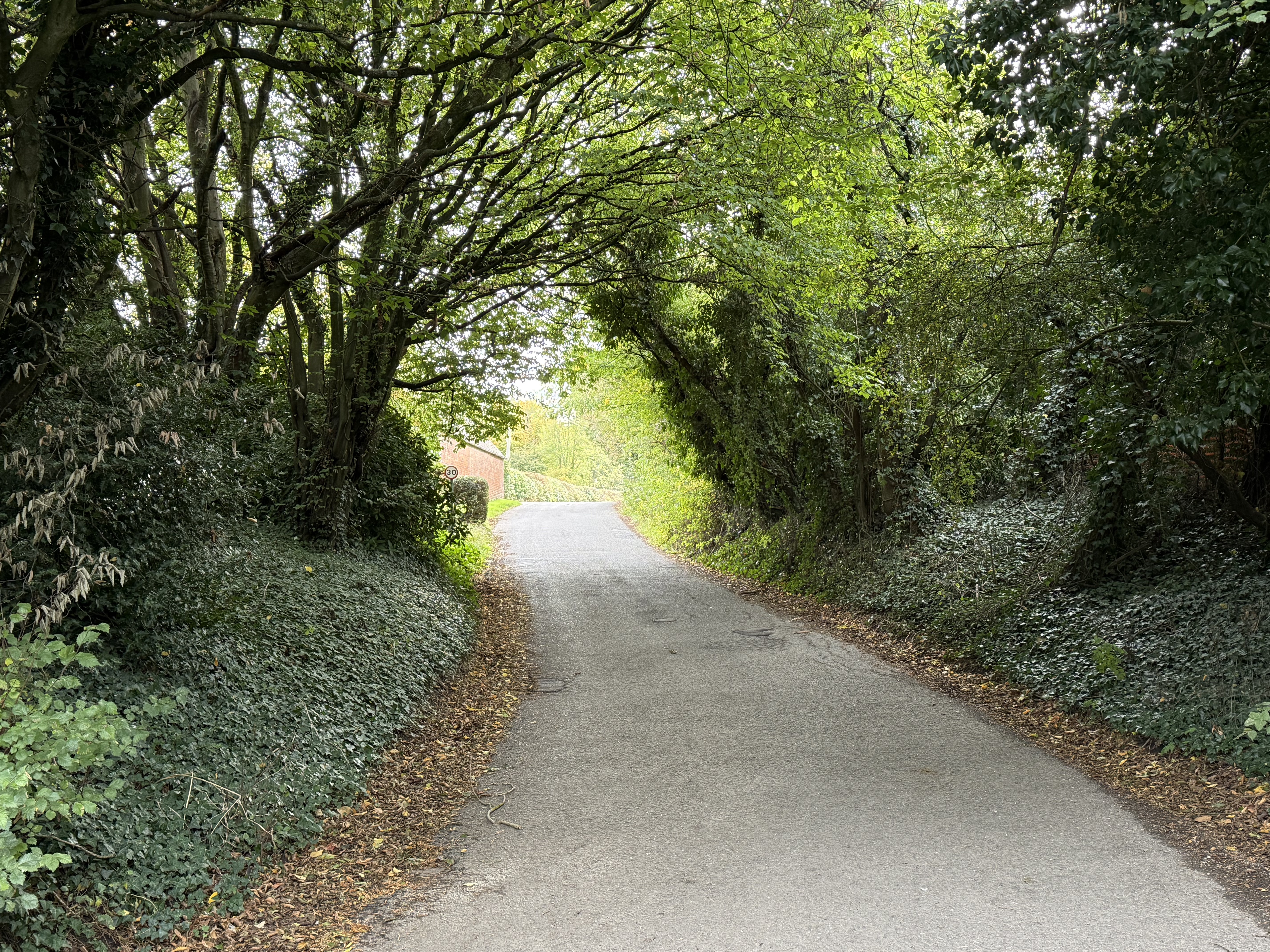The road out of the village