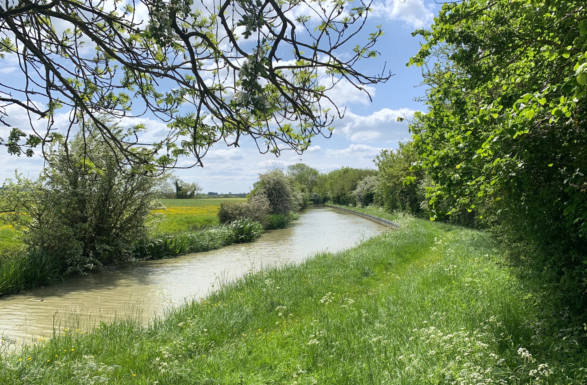 Oxfordshire Canal close to Priors Hardwick